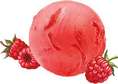 Picture of SORBET HALLON 5L