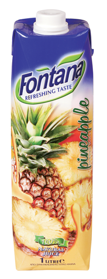 Picture of JUICE ANANAS 12X1L